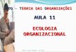 Profa. Lúcia Helena - TO 2011 AULA 11 ECOLOGIA ORGANIZACIONAL TO - TEORIA DAS ORGANIZAÇÕES