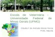 Escola de Veterinária - Universidade Federal de Minas Gerais (UFMG) Cláudia F.de Andrade Morais Penna Profa. Adjunta