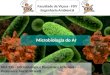 Faculdade de Viçosa - FDV Engenharia Ambiental Microbiologia do Ar DEA 230 – Microbiologia e Bioquímica Aplicadas Professora: Narah Vitarelli