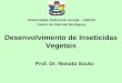Desenvolvimento de Inseticidas Vegetais Prof. Dr. Nonato Souto Universidade Federal do Amapá – UNIFAP Centro de Ciências Biológicas