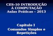 CES-10 INTRODUÇÃO À COMPUTAÇÃO Aulas Práticas – 2013 Capítulo I Comandos Simples e Repetições