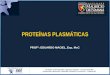 6. Proteínas Plasmáticas
