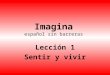Imagina español sin barreras Lección 1 Sentir y vivir