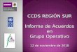 CCDS REGIÓN SUR Informe de Acuerdos en Grupo Operativo 12 de noviembre de 2010