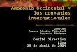 Amazonía occidental y los convenios internacionales Jukka Salo Asesor Técnico Principal Proyecto Biodamaz Comité Directivo Lima 28 de abril de 2004