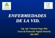 ENFERMEDADES DE LA VID. Ing. Agr. Vivienne Gepp, MSc. Curso de Protección Vegetal Frutícola. Año 2007