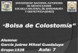 UNIVERSIDAD NACIONAL AUTONOMA DE MÉXICO [UNAM] ESCUELA NACIONAL DE ENFERMERÍA Y OBSTETRICIA [ENEO] “ Bolsa de Colostomía“ Alumna: García Juárez Mitzel