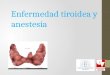 Enfermedad tiroidea y anestesia. Fisiología • Tiroides del adulto: 15-20 gr • Formada por folículos que contiene coloide con tiroglobulina • Producción