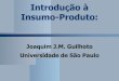 GUILHOTO, J. Introdução a análise insumo-produto