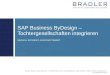 Sap Business ByDesign - Tochtergesellschaften integrieren