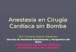 Anestesia en Cirugía Cardíaca sin Bomba Drª Carmen Reina Gimenez Servicio de Anestesia Reanimacion y Terapeutica del Dolor CONSORCIO HOSPITAL GENERAL UNIVERSITARIO