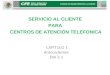 CAPITULO 1 Antecedentes DIA 3-1 SERVICIO AL CLIENTE PARA CENTROS DE ATENCIÓN TELEFONICA MANUAL DE USUARIO SERVICIO A LA CLIENTE