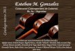 Catalogo Guitarras Esteban Gonzalez - Marzo 2013