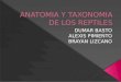 Anatomia y Taxonomia de Los Reptiles