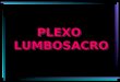Plexo Lumbosacro-2008.ppt