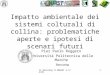 II Workshop CLIMAGRI 3-4/4/031 Impatto ambientale dei sistemi colturali di collina: problematiche aperte e ipotesi di scenari futuri Pier Paolo Roggero