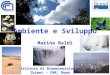 Ambiente e Sviluppo Marina Baldi Istituto di Biometeorologia Ibimet – CNR, Roma