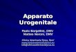 Apparato Urogenitale Paolo Bargellini, DMV Matteo Neroni, DMV Clinica Veterinaria Tyrus, Terni  info@clinicaveterinariatyrus.eu