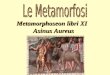 Elenarovelli1 Metamorphoseon libri XI Asinus Aureus