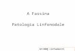 AF/2008 Linfoadeniti1 A Fassina Patologia Linfonodale