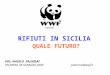 RIFIUTI IN SICILIA QUALE FUTURO? ING. ANGELO PALMIERI PALERMO 28 GENNAIO 2009palermo@wwf.it