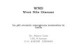 WND West Nile Disease La più recente emergenza zoonosica in Italia Dr. Marco Casi USL 8 Arezzo U.O. IGIENE URBANA