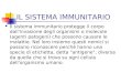 IL SISTEMA IMMUNITARIO Il sistema immunitario protegge il corpo dall'invasione degli organismi o molecole (agenti patogeni) che possono causare le malattie