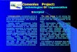Comenius Project: Studying Technologies Of Regenerative Energies Lenergia solare, nonostante sia tra le fonti energetiche più facili da utilizzare e tra
