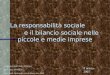 La responsabilità sociale e il bilancio sociale nelle piccole e medie imprese Università degli Studi di Urbino Prof. Mara Del Baldo Dott. Berti Alessandro,