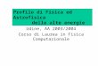 Udine, AA 2003/2004 Corso di Laurea in Fisica Computazionale Profilo di Fisica ed Astrofisica delle alte energie