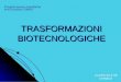 TRASFORMAZIONI BIOTECNOLOGICHE Progetto lauree scientifiche CLASSI 5A & 5B CHIMICA Anno scolastico 2006/07