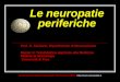 Le neuropatie periferiche Prof. G. Siciliano, Dipartimento di Neuroscienze Master in Teledidattica applicata alla Medicina Modulo di Neurologia Università