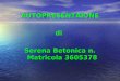 AUTOPRESENTAIONEdi Serena Betonica n. Matricola 3605378