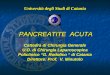Università degli Studi di Catania PANCREATITE ACUTA Cattedra di Chirurgia Generale U.O. di Chirurgia Laparoscopica Policlinico G. Rodolico di Catania Direttore: