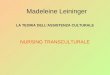 Madeleine Leininger LA TEORIA DELLASSISTENZA CULTURALE NURSING TRANSCULTURALE