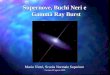 Cortona 28 agosto 2005 Supernove, Buchi Neri e Supernove, Buchi Neri e Gamma Ray Burst Gamma Ray Burst Mario Vietri, Scuola Normale Superiore