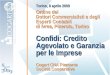 Torino, 8 aprile 2009 Ordine dei Dottori Commercialisti e degli Esperti Contabili di Ivrea, Pinerolo, Torino Confidi: Credito Agevolato e Garanzia per