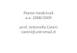 Piante medicinali a.a. 2008/2009 prof. Antonella Canini canini@uniroma2.it