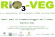 Ozono e vegetazione: il contributo della ricerca italiana Pisa, 24 Novembre 2006 Venti anni di biomonitoraggio dellozono Cristina Nali Dipartimento di