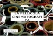 LA PELLICOLA CINEMATOGRAFICA Stella Dagna. Perforazioni Colonna sonora Interlinea Giunta Fotogramma