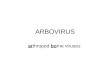 ARBOVIRUS arthropod borne viruses. Arbovirus Virus trasmessi agli ospiti vertebrati suscettibili (talvolta anche alluomo) attraverso la puntura di artropodi