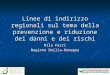 Reggio Emilia 18 febbraio 2010 Linee di indirizzo regionali sul tema della prevenzione e riduzione dei danni e dei rischi Mila Ferri Regione Emilia-Romagna