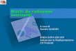 Rischi da radiazioni ionizzanti A cura di Sandro SANDRI ENEA GSP4 ION IRP Istituto per la Radioprotezione CR Frascati