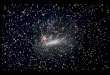 Il cielo nella Grande Nube di Magellano, come appariva il 22 febbraio 1987
