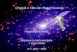 Origine e Vita dei Raggi Cosmici Piergiorgio Picozza Istituzioni di Fisica Nucleare e Subnucleare A.A. 2011 - 2012
