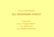 Lavoro ipertestuale GLI ORGANISMI VIVENTI Classe VC S.s.p. Angelo Mauri a.s. 2010-2011 Ins. MARINA MASSIMI