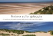 Natura sulla spiaggia Incredibile vita delle piante nelle dune costiere marchigiane Fabio Taffetani Università Politecnica delle Marche f.taffetani@univpm.it