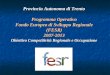 Provincia Autonoma di Trento Programma Operativo Fondo Europeo di Sviluppo Regionale (FESR)2007-2013 Obiettivo Competitività Regionale e Occupazione