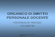 Conferenza servizio O.D 2007-08 / Bigardi M.G ORGANICO DI DIRITTO PERSONALE DOCENTE PROVINCIA DI TREVISO A.S 2007-08