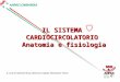 IL SISTEMA CARDIOCIRCOLATORIO Anatomia e fisiologia A cura di: Sabrina Rossi, Maurizio Capelli, Alessandro Teveri